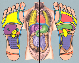 Reflexología - Foot massages